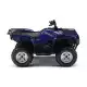 550 2010 GRIZZLY YFM550FWAD